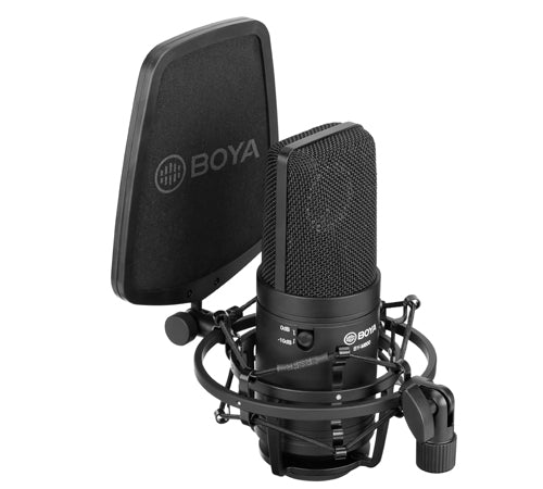 BY-M800 Cardioid Diaphragm Condenser Microphone