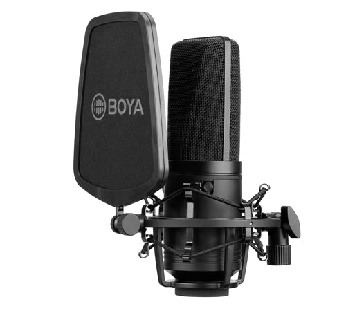 BY-M1000 Large Diaphragm Condenser Microphone